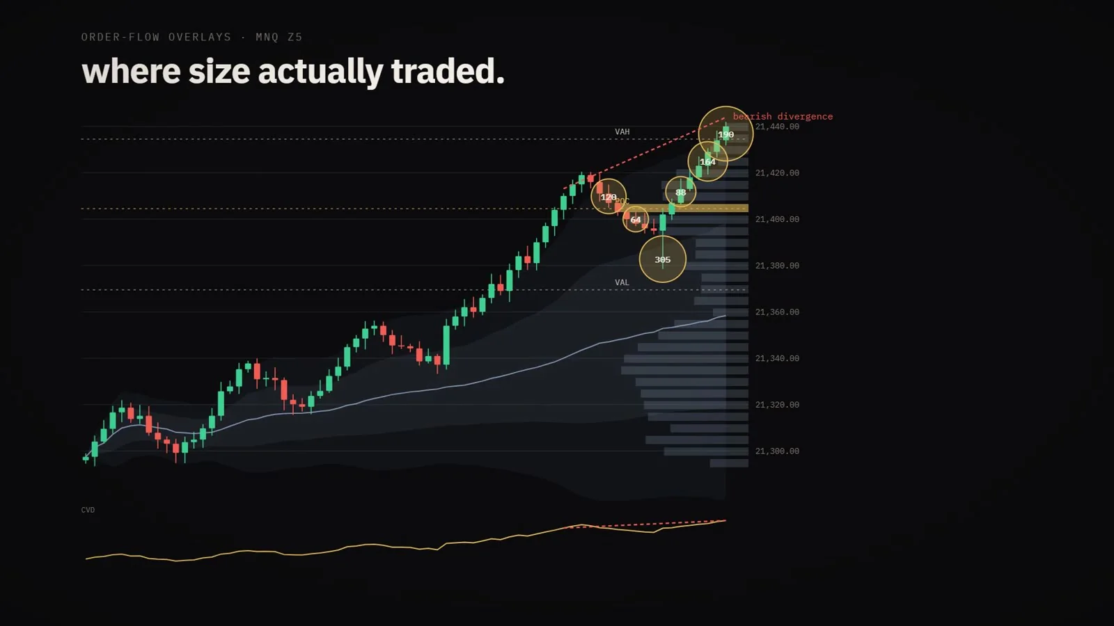 Price chart with a volume profile showing where the most size traded